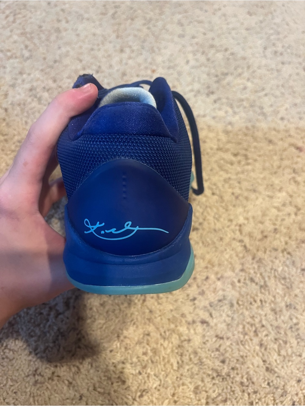 Nike Men's Royal Blue Signature Heel Sneaker